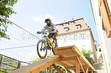 mcd_2013_2_409