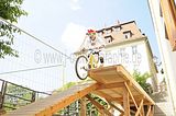 mcd_2013_2_449