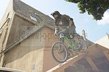 mcd_2013_2_498