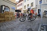 mcd_2013_2_724