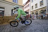 mcd_2013_2_729