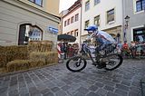 mcd_2013_2_733