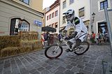 mcd_2013_2_736