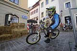 mcd_2013_2_737