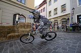 mcd_2013_2_743