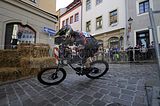 mcd_2013_2_748