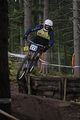1010_DSC0194