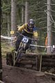 1053_DSC0237
