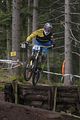 1062_DSC0246