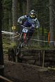1100_DSC0284