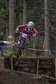 977_DSC0161
