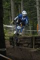 993_DSC0177