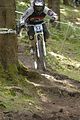 949_DSC0334
