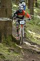 950_DSC0335