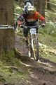 953_DSC0338