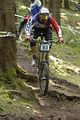 954_DSC0339