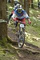 955_DSC0340