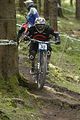 961_DSC0346