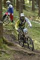 964_DSC0349