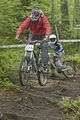 054__DSC0211