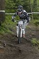 237__DSC0394