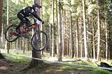 tabarz_15_07_459