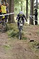 tabarz_15_07_719