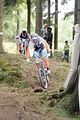 tabarz_15_07_733