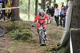 tabarz_15_07_768