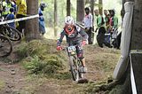 tabarz_15_07_775