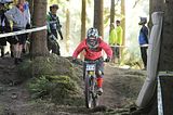 tabarz_15_07_860