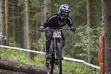 ilmenau_12_08_0405