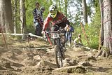 ilmenau_14_08_0416