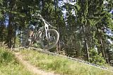 ixs_steinach_24_06_294
