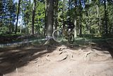 rdc_steinach_09_06_2019__0130