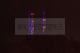 3Essen-party-04072009-54