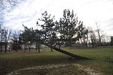 heidecksburg_rudolstadt_12_2016_018