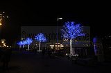 heidecksburg_rudolstadt_12_2016_149