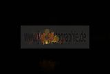 ballongluehen-gera-24042010-042