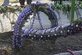 berga_osterbrunnen_046