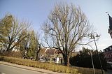berga_osterbrunnen_101