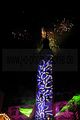 eroeffnung-weihnachtsmarkt-gera-27112012-166
