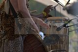 gera-fest-der-kulturen-24092011-090