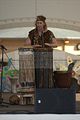 gera-fest-der-kulturen-24092011-097