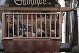 hoeherfest-gera-2012-082