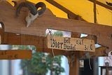 hoeherfest-gera-2012-139