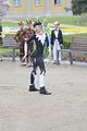 hofwiesenparkfest-gera-2013-015