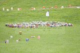 hofwiesenparkfest-gera-2013-059