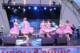 hofwiesenparkfest-gera-2013-134