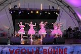 hofwiesenparkfest-gera-2013-135